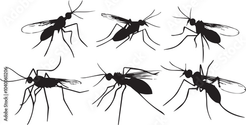 Set mosquito. Hand drawn vector illustration