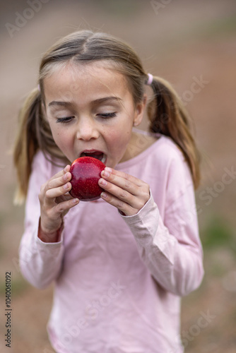 young girl with piggy tails about to bite into a shiny dark red apple photo