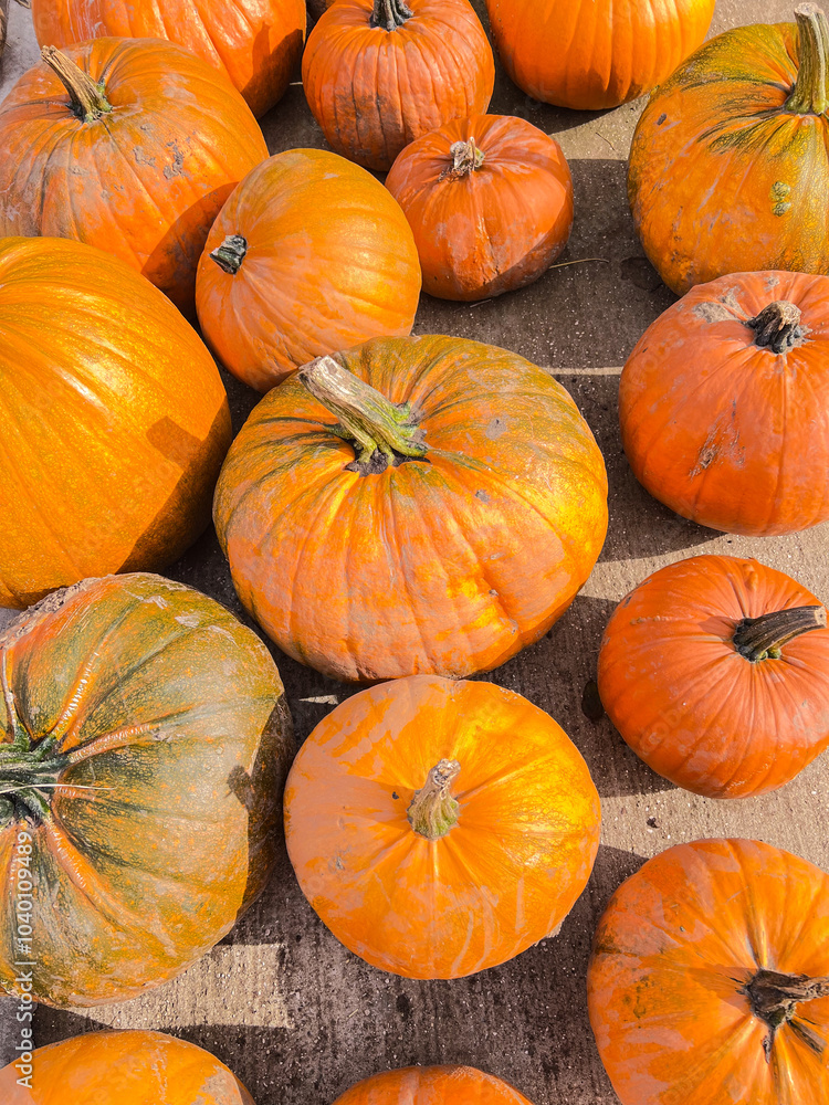 Orange pumpkins from above Orange pumpkins from above