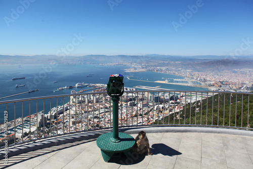 Mono en el mirador de la Roca de Gibraltar