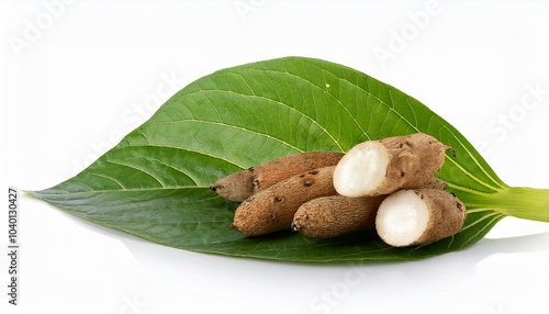 smallanthus sonchifolius yacon snow lotus with green leaf isolated on white background photo