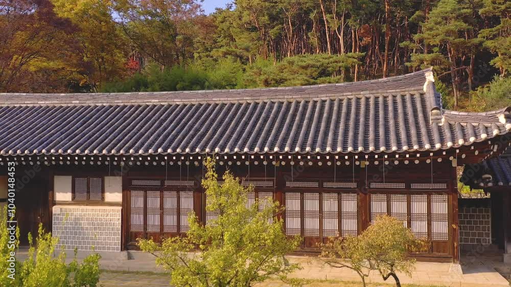 ASAN, SOUTH KOREA - OCTOBER 17, 2024: Beautiful traditional Korean architecture and nature in autumn showcasing serene and colorful landscapes ASAN, SOUTH KOREA - OCTOBER 17, 2024: Beautiful traditional Korean architecture and nature in autumn showcasing serene and colorful landscapes