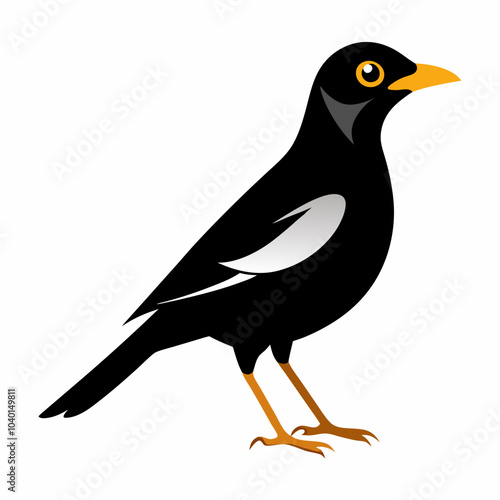 vector silhouette of mynah with white background