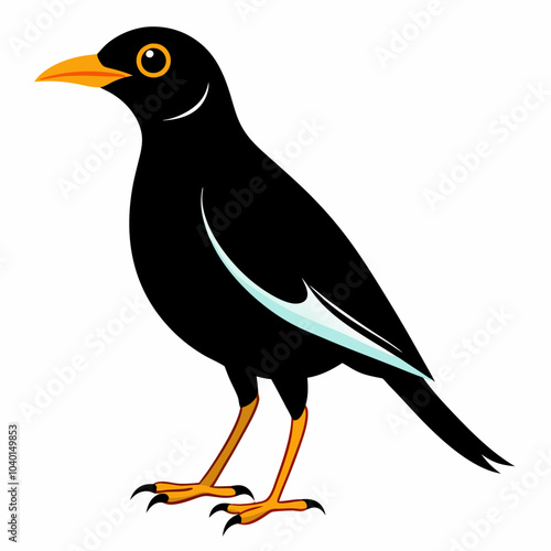 vector silhouette of mynah with white background