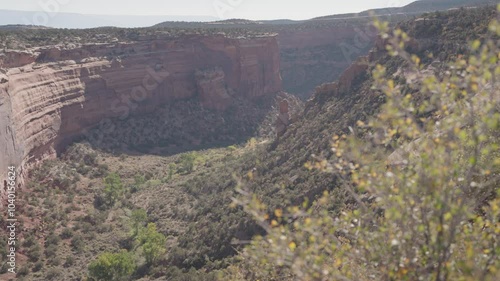Colorado National Monument Park near the city of Grand Junction. Sheer-walled, Red rock canyons, Rim Rock Drive, Towering monoliths within a vast plateau and canyon panorama USA