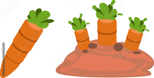 Fresh Carrots Growing in Rich Soil