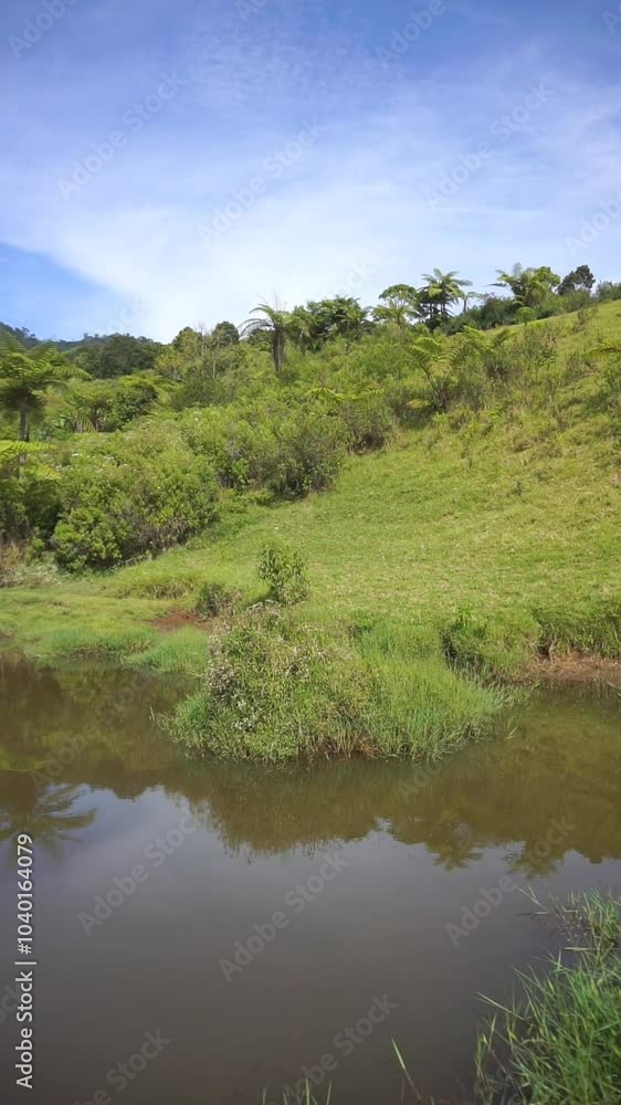 beautiful vertical video portrait beautiful scenery with river and green grass beautiful vertical video portrait beautiful scenery with river and green grass