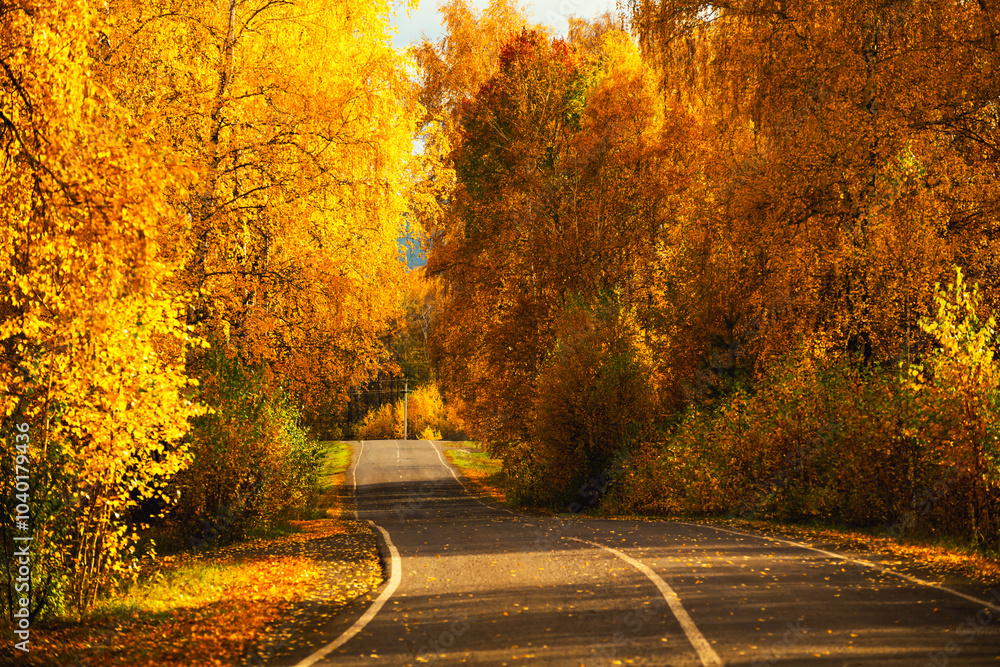 Road with yellow autumn trees in the mountains at sunset. Beautiful autumn landscape.