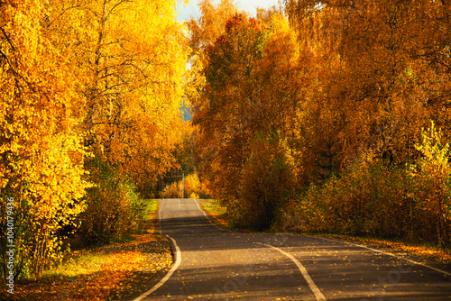 Obraz na płótnie Road with yellow autumn trees in the mountains at sunset. Beautiful autumn landscape. w salonie