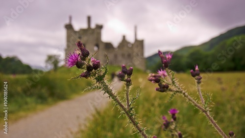 Εκτύπωση καμβά Closer look to the vivid purple thistles lead to a historic Kilchurn castle amid lush hills under a cloudy sky, highlighting nature and heritage of Scotland