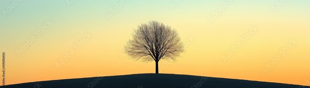 Obraz premium A tree silhouetted against the sunset, with only the simplest lines visible