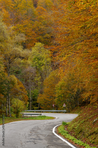 Curved mountain road surrounded by vibrant autumn trees. The colorful foliage contrasts with the gray road, creating a scenic and peaceful landscape. Ideal for autumn, travel, and nature themes