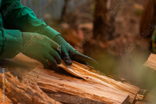 Gloved hands stacking split firewood for winter fires