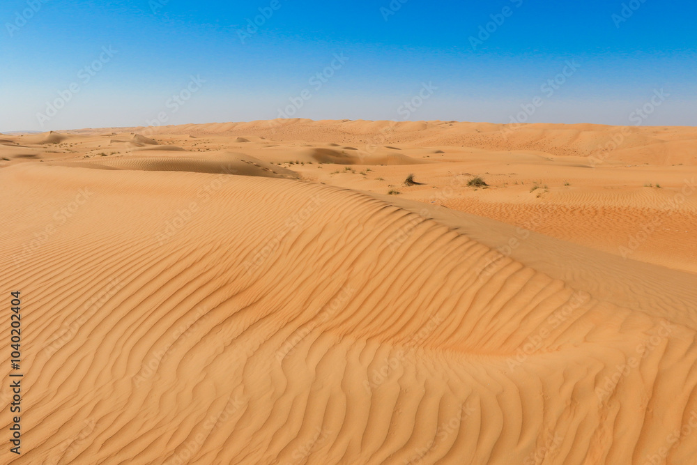 Waves of golden sand stretch across the Wahiba Desert in Oman under a clear blue sky during midday Waves of golden sand stretch across the Wahiba Desert in Oman under a clear blue sky during midday
