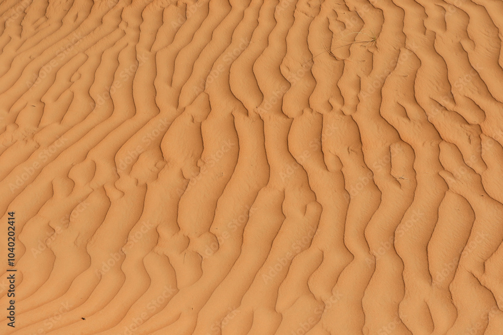 Patterns of wind sculpted sand reveal the beauty of the Wahiba Desert in Oman during daylight Patterns of wind sculpted sand reveal the beauty of the Wahiba Desert in Oman during daylight