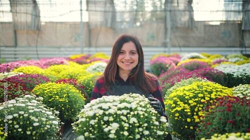 Smiling attractive woman, female gardener walking through the greenhouse with a flower pot of blooming chrysanthemums in her hands