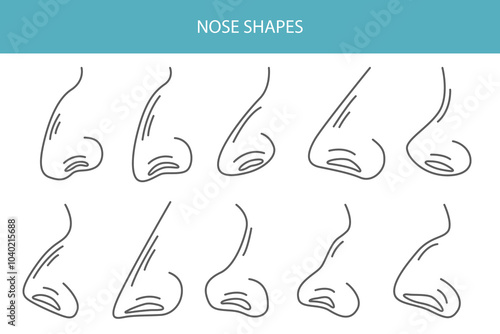 Shapes of nose anatomy. Nasal diseases. Medical infographic design. Vector illustration
