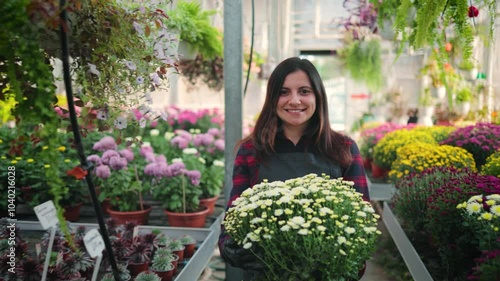 Smiling attractive woman, female gardener walking through the greenhouse with a flower pot of blooming chrysanthemums in her hands