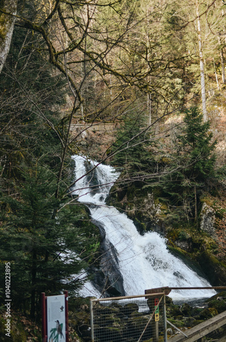 Autumn Waterfall in a Forest in Germany