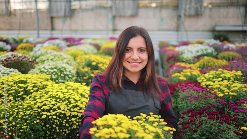 Smiling attractive woman, female gardener walking through the greenhouse carrying a box with a flower pot of beautiful blooming chrysanthemums