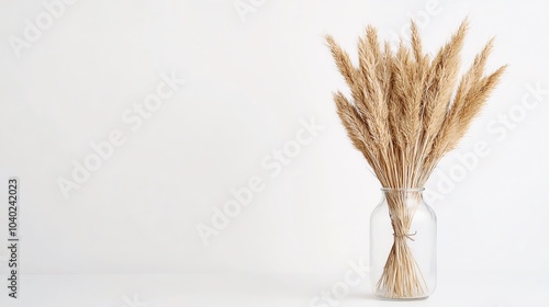 Dried grass in glass vase, white isolated background