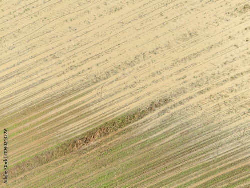 Water covering rows of crops in muddy seeded soil field after devastating flooding by heavy rainfall photo