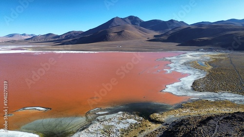Laguna Colorada. Red salt lake in the southwest of the altiplano of Bolivia. The red color is caused by red sediments of some algae.