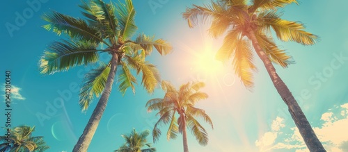 Tall palm trees set against a stunning backdrop of a clear sky with the sun shining brightly creating a picturesque scene perfect for copy space image