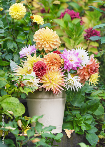 Beautiful bouquet of fresh colorful and different variety of dahlia flowers in a beige enamel bucket on a rustic stone stair. Garden decoration concept. Copy space. 