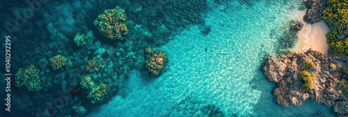 Breathtaking aerial view of vibrant coral reef surrounded by clear turquoise waters, showcasing beauty of marine life and natural landscapes