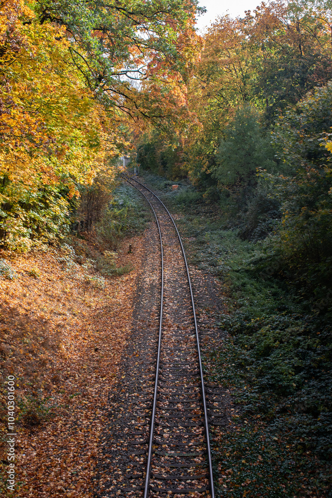 Train tracks covered in colorful leaves on a beautiful autumn day Train tracks covered in colorful leaves on a beautiful autumn day