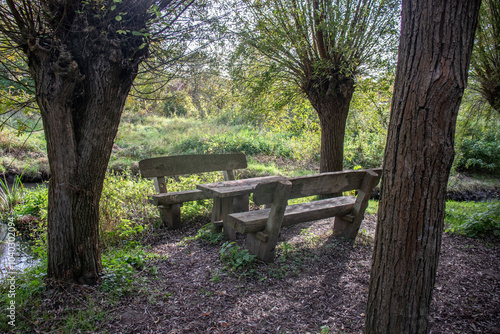 A bench outside for resting on a beautiful autun day with colorful leaves