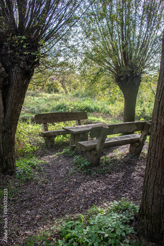 A bench outside for resting on a beautiful autun day with colorful leaves