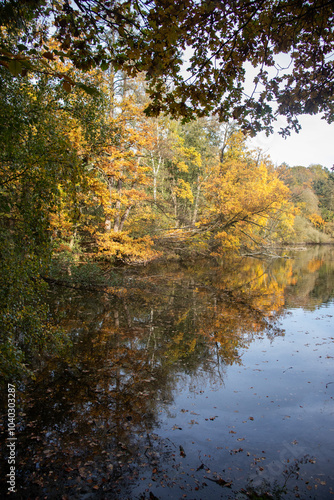 Beautiful autumn day with colorful leaves on trees and on the ground