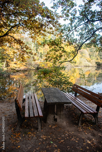 A bench outside for resting on a beautiful autun day with colorful leaves