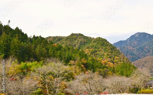 Landscape in Narai-juku, Nagano, Japan in fall  photo