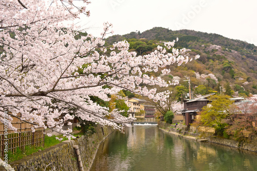 Landscape of Arashiyama in Kyoto, Japan in spring