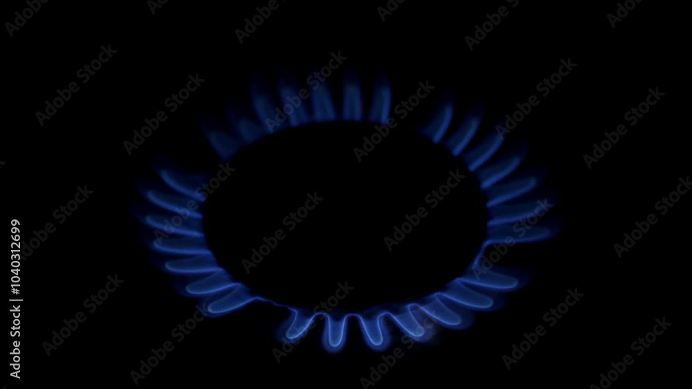 Gas burner igniting and producing vibrant blue flames against a black background. The intense fire showcases the power and energy of various fuels like methane and propane Gas burner igniting and producing vibrant blue flames against a black background. The intense fire showcases the power and energy of various fuels like methane and propane