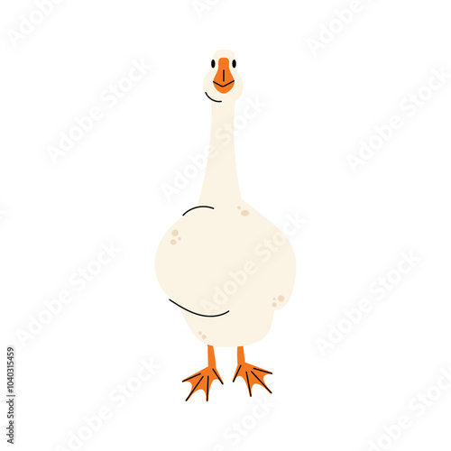 Set of geese in various poses. Cartoon vector illustration isolated on background. Farm animal design  adorable birds in different poses, funny characters