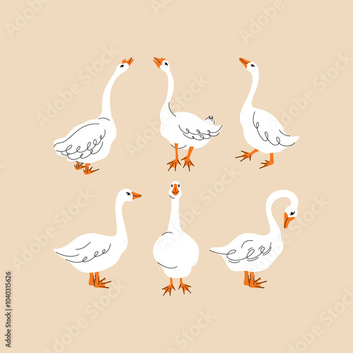 Set of geese in various poses. Cartoon vector illustration isolated on background. Farm animal design  adorable birds in different poses, funny characters