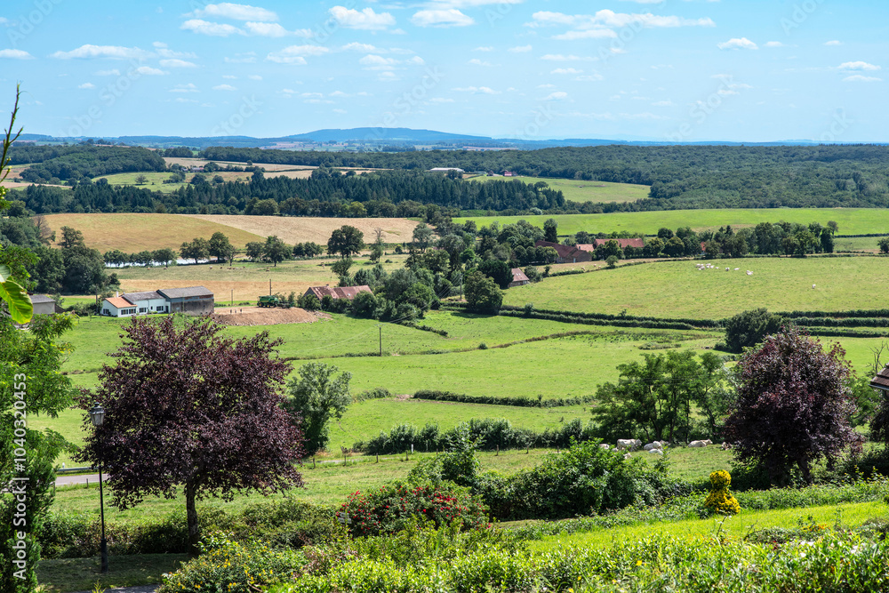 Fototapeta premium Landscape of Burgundy in France with fields and forest