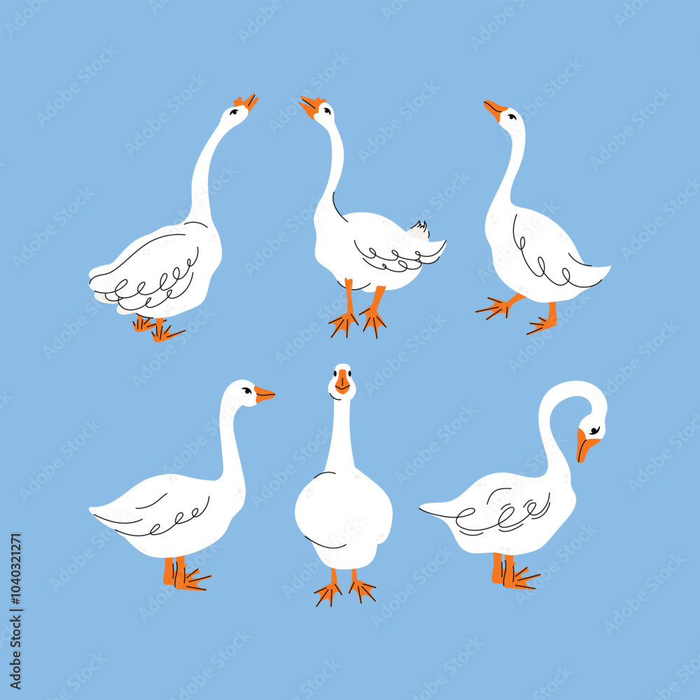 Obraz premium Set of geese in various poses. Cartoon vector illustration isolated on background. Farm animal design adorable birds in different poses, funny characters