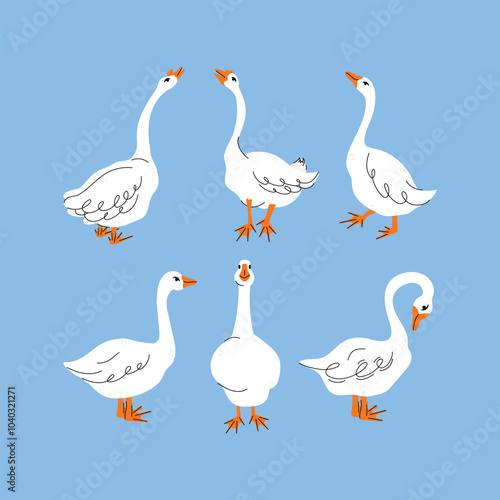 Set of geese in various poses. Cartoon vector illustration isolated on background. Farm animal design  adorable birds in different poses, funny characters