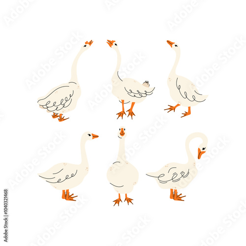 Set of geese in various poses. Cartoon vector illustration isolated on background. Farm animal design  adorable birds in different poses, funny characters