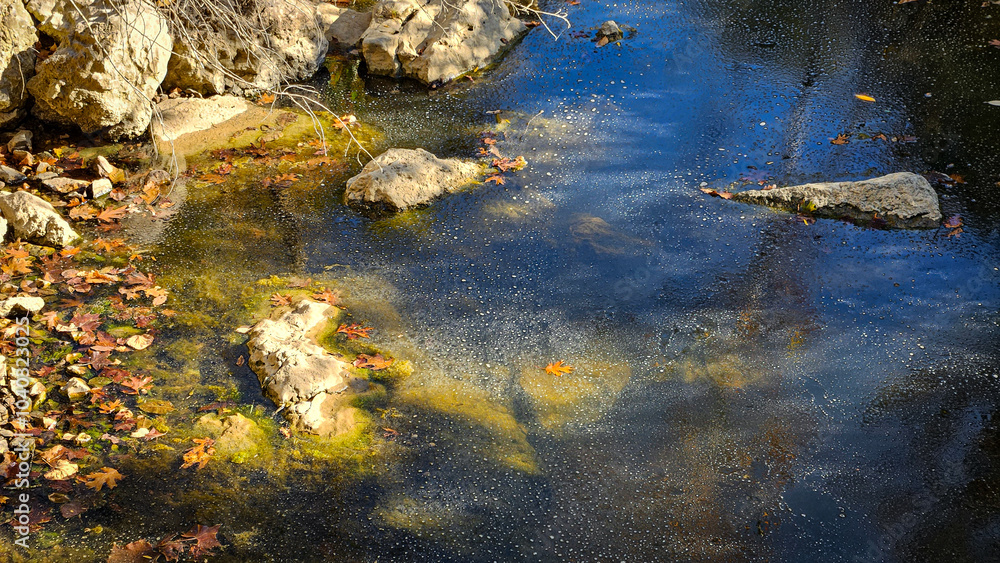 Fototapeta premium stagnant water creek with biofilm and algae growth