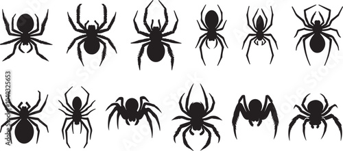 spider silhouette collection vector art illustration