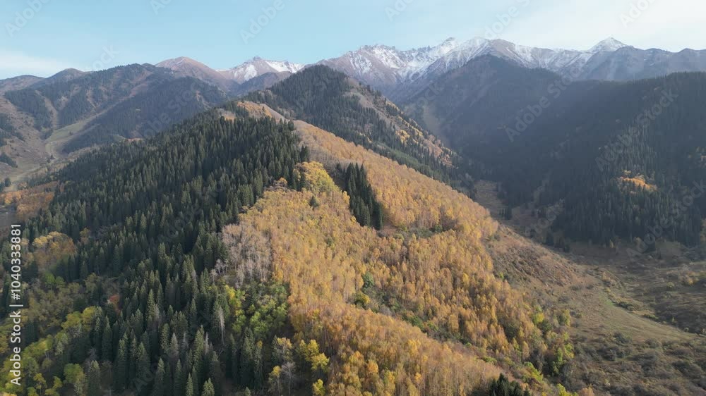 A mountainous area with different vegetation. Yellow leaves of trees in autumn. The view from the drone. A mountainous area with different vegetation. Yellow leaves of trees in autumn. The view from the drone.