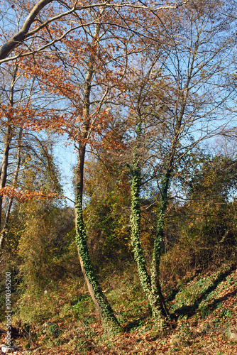 Ballikayalar Canyon is located in Gebze, Turkey. It is a popular tourist area.
