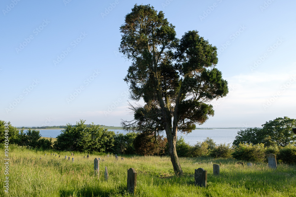 Tree dominates skyline in old churchyard, peaceful rural scene with views of adjoining reservoir Tree dominates skyline in old churchyard, peaceful rural scene with views of adjoining reservoir