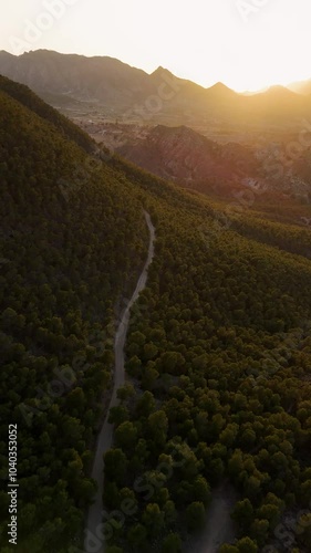 Vertical Drone Flight Over a Tree-Lined Road with a Beautiful Sunset in the Background. Ricote Valley´s , Murcia, Spain